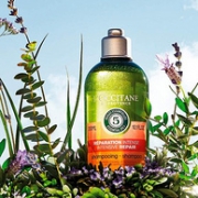 L'OCCITANE 欧舒丹 草本5合1精华修护洗发露 300ml