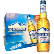 京东PLUS会员：Harbin 哈尔滨 冰纯啤酒 600ml*12大瓶 整箱 *2件