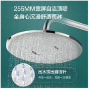 ARROW 箭牌卫浴 AE33117SH 恒温花洒套装