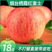 一级果、商超品质：烟富霞 烟台红富士苹果 5斤