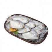 限地区：小船长 冷冻东海银鲳鱼 500g  5-7条装 *10件