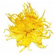 徽春堂 金丝皇菊 50-60朵 20g *3件