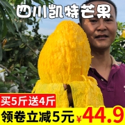 古江 四川攀枝花凯特芒果 9斤