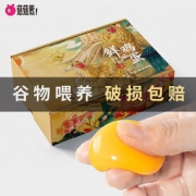 菇菇熊X七味食盒联名款 农家自养 初生土鸡蛋 40枚礼盒装