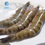 京东PLUS会员：蓝鳍海产 黑虎虾净重850g（大号约28g/头24-26头）*2件