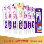 Saky 舒客 专业量贩家庭装（防蛀140g*4+抗敏120g*2+维c营养120g*2+2支软毛牙刷) *3件