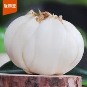 陇萃堂 兰州鲜百合三头皇 500g