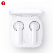 Smartisan 坚果 DS201 真无线蓝牙耳机 白色