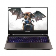 百亿补贴： Hasee 神舟 Z9-CU7PK 15.6英寸游戏本（i7-10750H、16GB、256GB+1TB、RTX2070、144Hz）