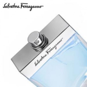 Ferragamo 菲拉格慕 蓝色经典 男士淡香水 50ml