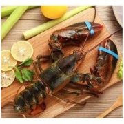 wecook 味库 加拿大波士顿龙虾 400-500g 1只 *3件