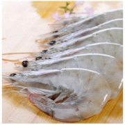 京东PLUS会员： 】量道 活冻厄瓜多尔白虾带冰2kg70-90只 南美进口大虾 海鲜水产 *2件