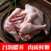 农家散养土鸭2斤 鸭子整只草鸭白条鸭麻鸭新鲜冷冻鸭肉现杀非老鸭