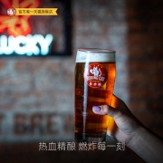 百威英博 GOOSE ISLAND 精酿啤酒组合 355ml*12瓶