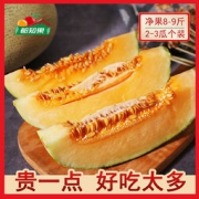 都知果 海南西州蜜25号哈密瓜 净果8-9斤