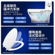 KOHLER 科勒 艾黛儿 K-5171T/4983T-C-0 五级旋风连体坐便器