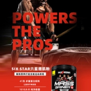 威少代言 美国进口 Sixstar 复合蛋白粉 1磅 体验装