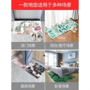 绣奈丝 ins防滑垫吸水进门地垫