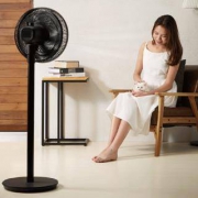Midea 美的 SAD30MB 电风扇 七叶 黑色