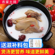 守绿 农家现杀乳鸽 3只/2斤