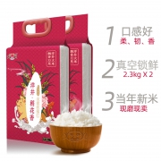 洋井 优选稻花香新米 2袋装净重9.2斤
