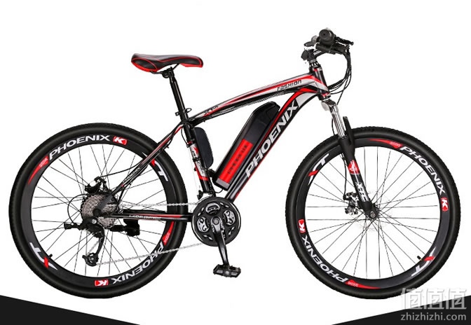 凤凰 TDE101Z 电动助力车