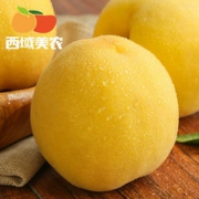 西域美农 蒙阴黄桃 净重4.5斤