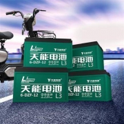 天能 铅酸 电动车蓄电池 以旧换新 48v12ah 4只装