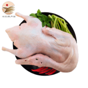 PLUS会员：黄河畔 新鲜嫩鸭子 麻鸭 1kg *3件
