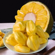 京觅 海南黄肉菠萝蜜1个 20-25斤