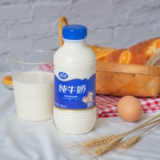 夏进 全脂纯牛奶 500ml*12瓶