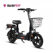 踏浪（TAENT）电动自行车 新国标 48v12ah