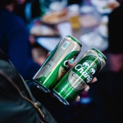 泰国原装进口 Chang beer 泰象啤酒 500mlx24罐x2件