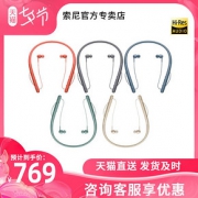 索尼（SONY） WI-H700 蓝牙耳机