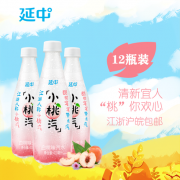 延中 小桃汽 白桃味汽水 410mlx12瓶