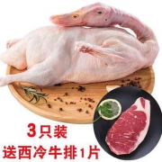 大西冷 农村散养 肉宰杀土鸭 3只