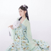 阔色 KSB2004053 汉服改良版小松鹤连衣裙