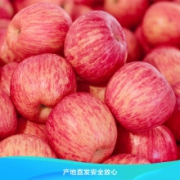 14点：甘肃花牛苹果5斤*2