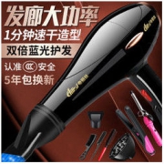 帝丽丝 大功率负离子电吹风机