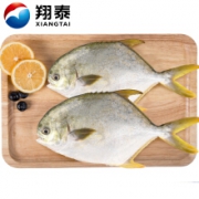 PLUS会员：翔泰 冷冻无公害金鲳鱼700g /2条*5件