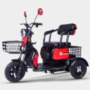 18日0点： TAENT 踏浪 乐酷顶配 48V22A 电动三轮车