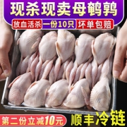 现杀现卖新鲜大鹌鹑 高蛋白低脂 10只/1200g