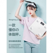 白菜价：香山 智能体脂称