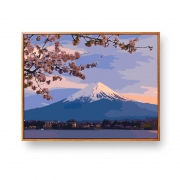 非之语 DIY数字油画 40*50cm 黑白板 送颜料+画笔