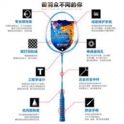 白菜价：WITESS 羽毛球拍 2支