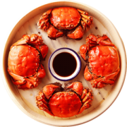 现货 珍澄 阳澄湖 鲜活六月黄大闸蟹 2.5两