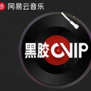 网易云音乐 黑胶会员年卡