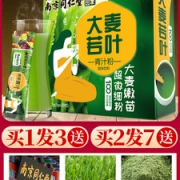 南京同仁堂 大麦若叶 减肥代餐青汁粉 20条*3盒