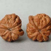 山中玉核桃  精品四座楼狮子头  43mm左右