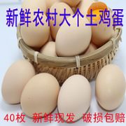 现捡现发 破损包赔 40枚，农家散养土鸡蛋